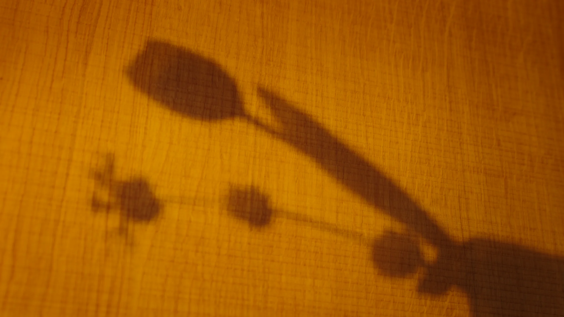 Close-up of a wine glass's shadow stretched across warm, sunlit wood grain
